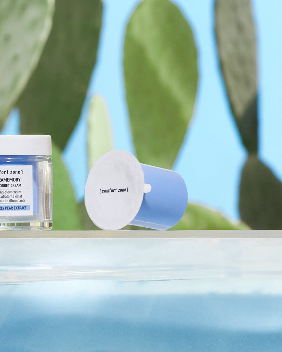 Comfort zone | Hydramemory rich sorbet cream