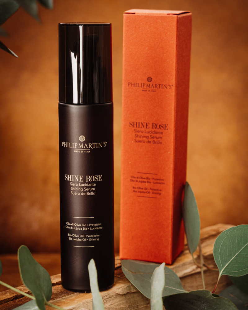 Philip Martin's | Shine rose